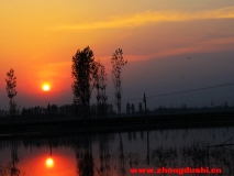 汶上風光之夕陽無限好