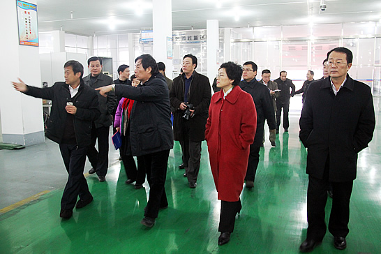 國務(wù)院參事、科技部原副部長劉燕華到汶上縣新風光電子科技發(fā)展有限公司調(diào)研