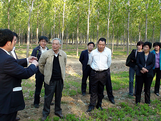 中國林科院首席科學家盛煒彤率調(diào)研組到汶上縣調(diào)研林下經(jīng)濟發(fā)展工作