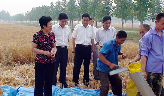 汶上縣人大常委會(huì)副主任戴福盈，汶上縣政府副縣長(zhǎng)閆波到鄉(xiāng)鎮(zhèn)督導(dǎo)檢查“三夏”生產(chǎn)和秸 ...