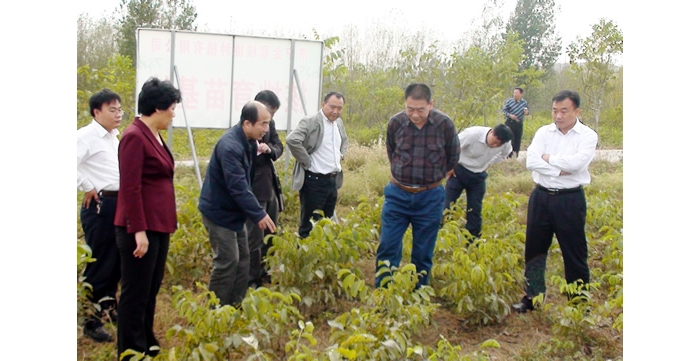中國經(jīng)濟(jì)林協(xié)會(huì)會(huì)長張志達(dá)來汶上縣考察工作