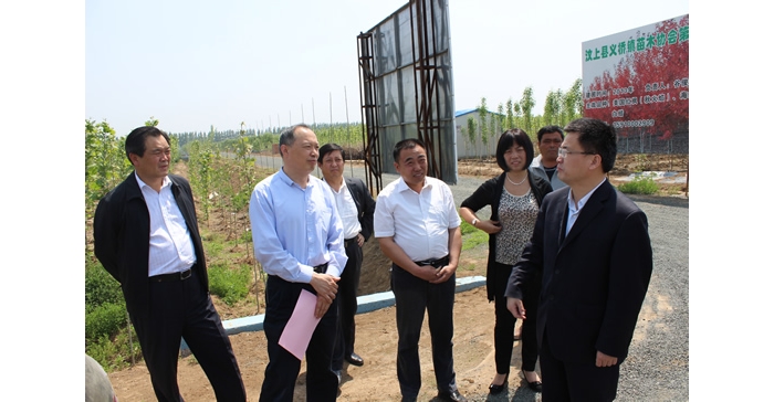 侯典峰陪同林兆謙到縣蘆花雞協(xié)會、義橋鎮(zhèn)苗木基地實地檢查指導(dǎo)