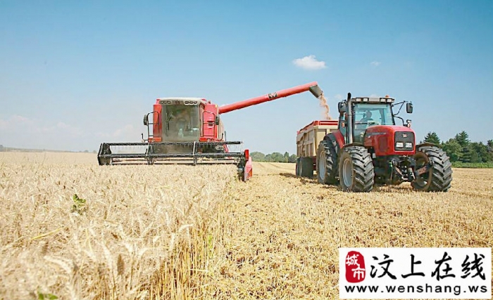 汶上四萬(wàn)余現(xiàn)代農(nóng)機(jī)戰(zhàn)“三夏”