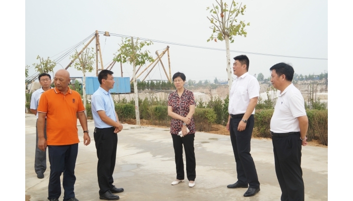李志紅到白石鎮(zhèn)督導(dǎo)檢查石材轉(zhuǎn)型升級工作