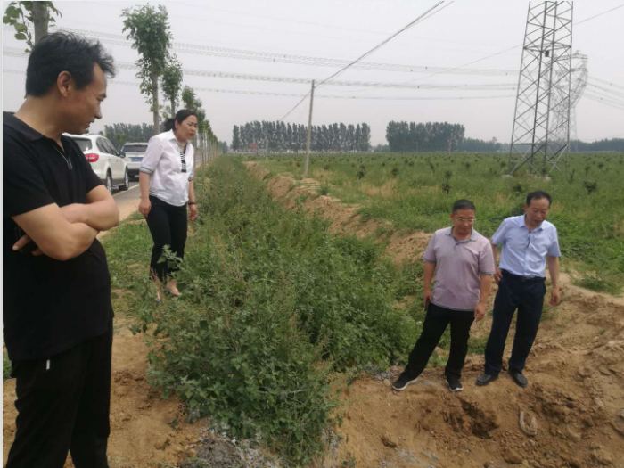 汶上縣人民政府 部門動態(tài) 縣交通運輸局召開南郭公路掃尾工程建設工作推進會