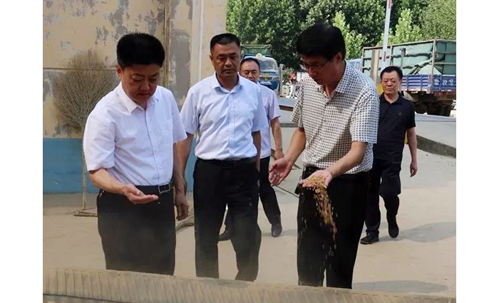 汶上縣人民政府 政務(wù)要聞 縣委常委、副縣長(zhǎng)王洪正督導(dǎo)檢查夏糧收購(gòu)工作