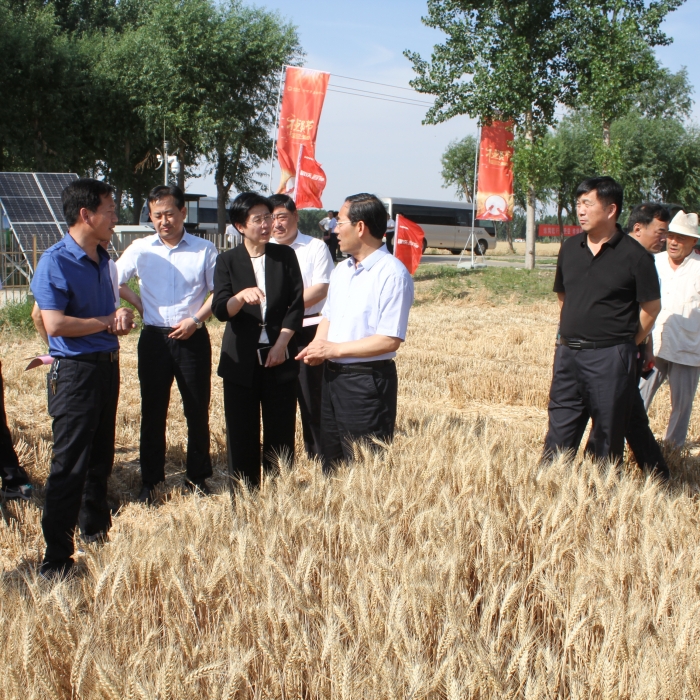 汶上縣人民政府 政務(wù)要聞 市委副書記、市長(zhǎng)石光亮來(lái)汶上縣視察“三夏”生產(chǎn)和秸稈禁燒 ...