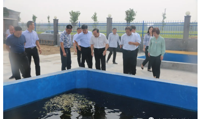 省國資委黨委委員、副主任，機(jī)關(guān)黨委書記尹剛到次邱鎮(zhèn)調(diào)研指導(dǎo)省派鄉(xiāng)村振興服務(wù)隊工作